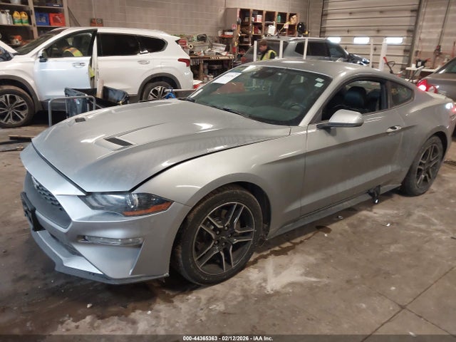 Ford Mustang Ecoboost Premium Fastback 2023 1FA6P8TH5P5109725 Image 2