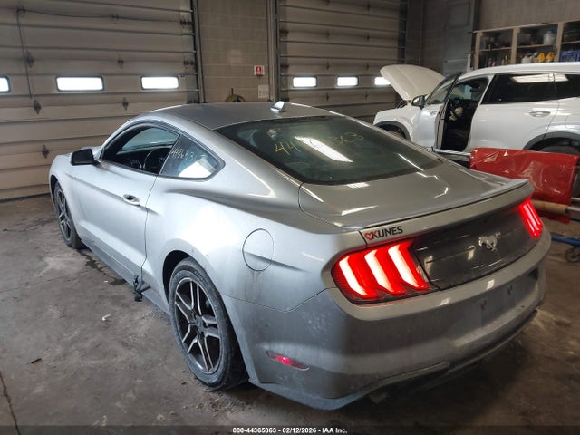 Ford Mustang Ecoboost Premium Fastback 2023 1FA6P8TH5P5109725 Image 3