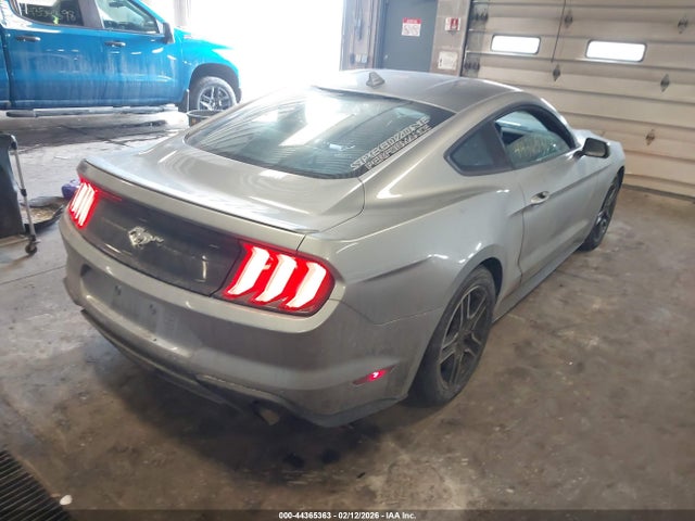 Ford Mustang Ecoboost Premium Fastback 2023 1FA6P8TH5P5109725 Image 4