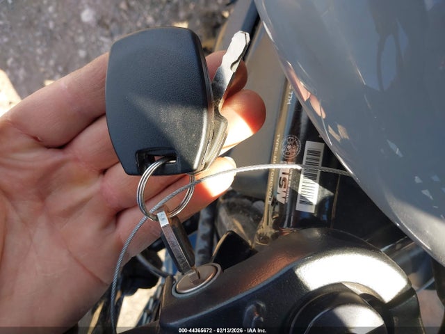 2024 HARLEY-DAVIDSON RH975 1HD1ZH117RB308640 Photo 10