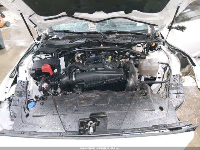 Ford Mustang Ecoboost Fastback 2024 1FA6P8TH2R5143706 Image 10