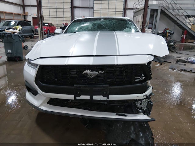 Ford Mustang Ecoboost Fastback 2024 1FA6P8TH2R5143706 Image 13