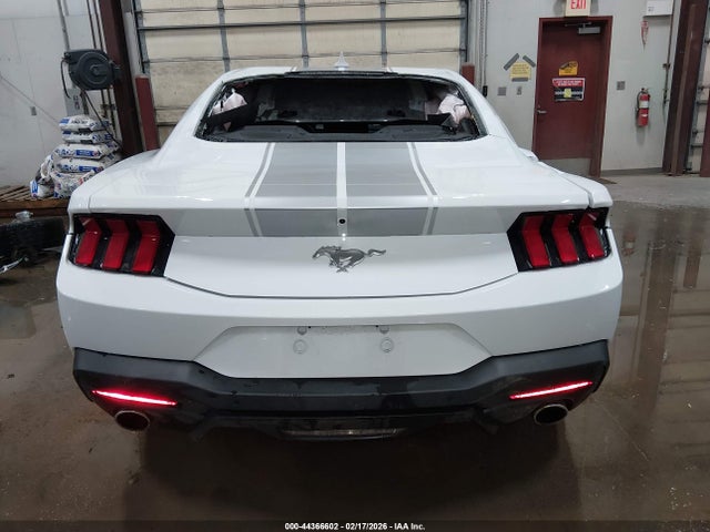Ford Mustang Ecoboost Fastback 2024 1FA6P8TH2R5143706 Image 17