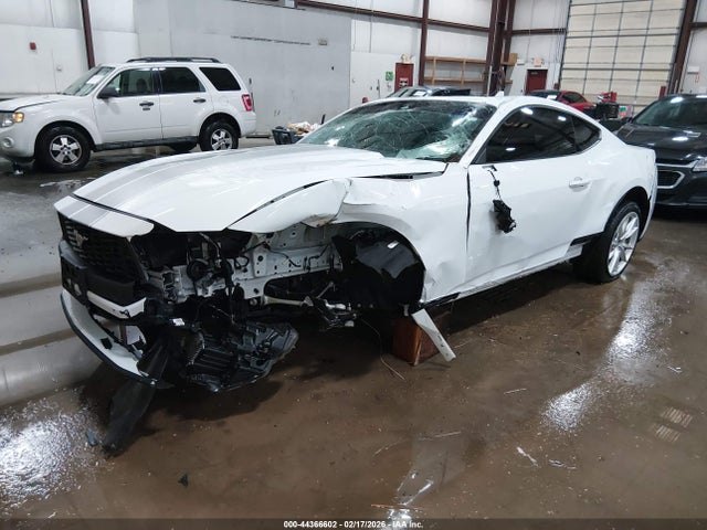 Ford Mustang Ecoboost Fastback 2024 1FA6P8TH2R5143706 Image 2
