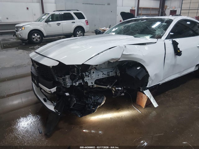 Ford Mustang Ecoboost Fastback 2024 1FA6P8TH2R5143706 Image 6
