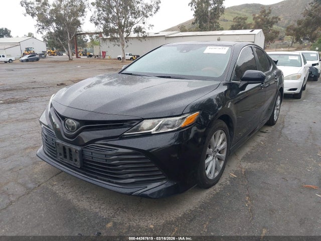 4T1B11HKXKU267686 Toyota Camry L/le/xle/se/xse