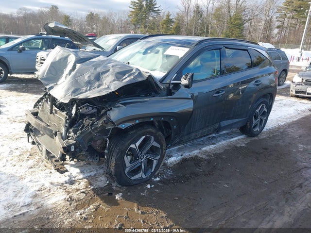 Hyundai Tucson Limited 2023 5NMJECAEXPH164738 Image 2