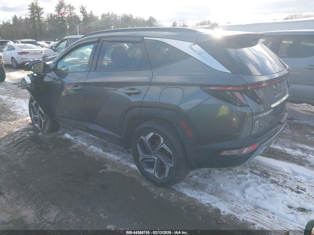 Hyundai Tucson Limited 2023 5NMJECAEXPH164738 Image 3