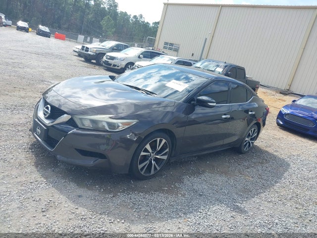 1N4AA6AP5HC387631 Nissan Maxima 3.5 Sv
