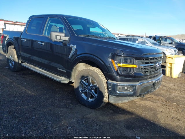 Ford F-150 Xlt 2024 1FTFW3LD2RFA73003 головне зображення