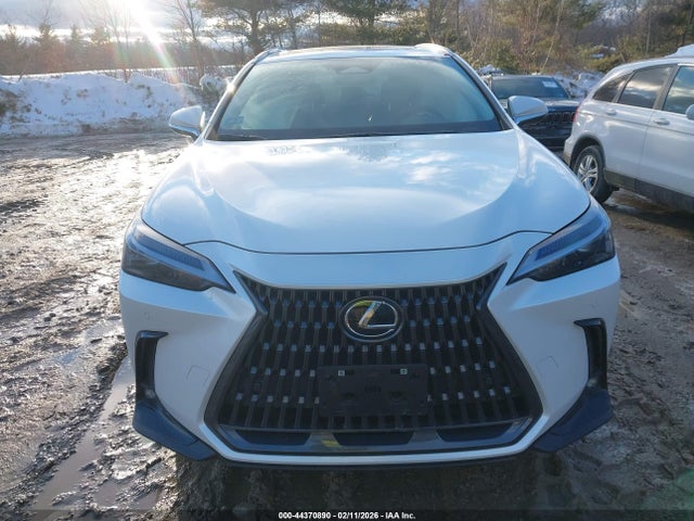 Продажа на аукционе авто 2025 Lexus Nx 350 Premium, vin: 2T2GGCEZ7SC077861, номер лота: 44370890