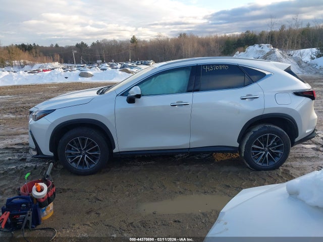 Продажа на аукционе авто 2025 Lexus Nx 350 Premium, vin: 2T2GGCEZ7SC077861, номер лота: 44370890