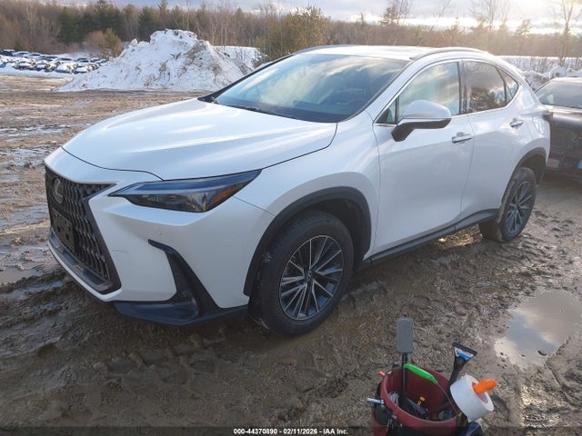 Продажа на аукционе авто 2025 Lexus Nx 350 Premium, vin: 2T2GGCEZ7SC077861, номер лота: 44370890