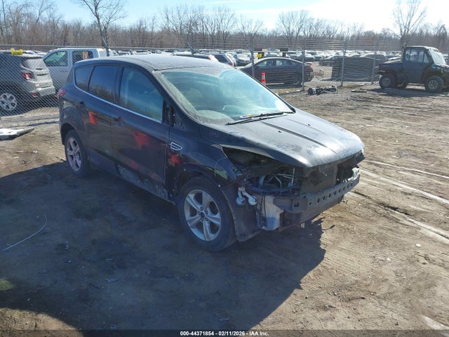 Ford ESCAPE SE 2014 1FMCU0GXXEUC66867 главное изображение