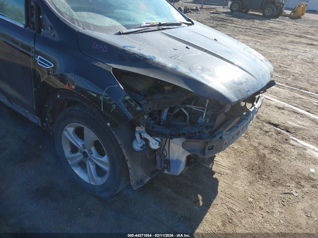 Ford ESCAPE SE 2014 1FMCU0GXXEUC66867 Image 16