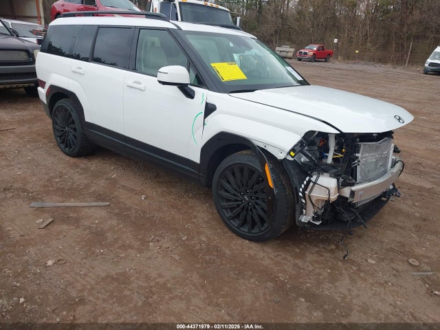 2025 HYUNDAI SANTA FE 5NMP5DGL8SH112913