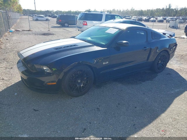 2014 FORD MUSTANG 1ZVBP8CF2E5202834 Photo 1