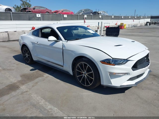 Ford Mustang Ecoboost Fastback 2020 1FA6P8TH5L5141925 Image 1