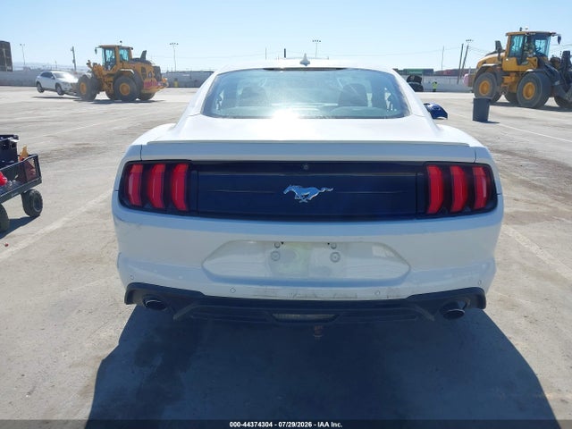 Ford Mustang Ecoboost Fastback 2020 1FA6P8TH5L5141925 Image 15