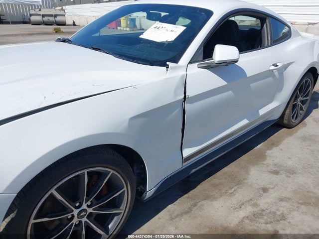 Ford Mustang Ecoboost Fastback 2020 1FA6P8TH5L5141925 Image 17