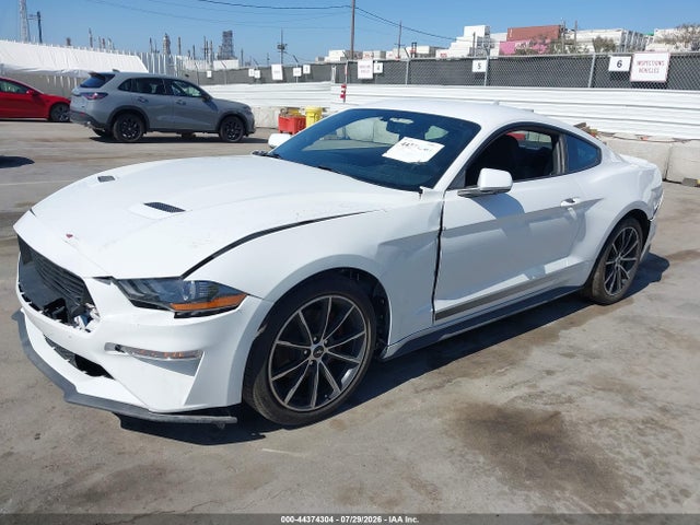 Ford Mustang Ecoboost Fastback 2020 1FA6P8TH5L5141925 Image 2