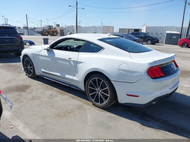 Ford Mustang Ecoboost Fastback 2020 1FA6P8TH5L5141925 Image 3