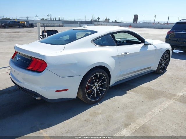 Ford Mustang Ecoboost Fastback 2020 1FA6P8TH5L5141925 Image 4