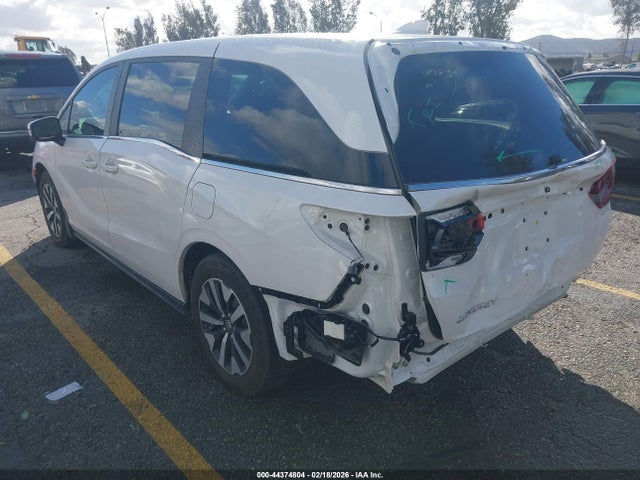 Honda Odyssey Ex-l 2025 5FNRL6H67SB063207 Image 3