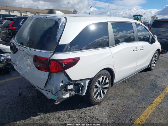 Honda Odyssey Ex-l 2025 5FNRL6H67SB063207 Image 4