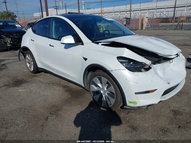 2023 TESLA MODEL Y 7SAYGDEE4PF807159