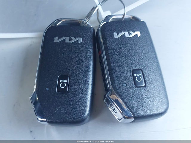 KNDRHDLG6P5167086 KIA Sorento Hybrid Ex