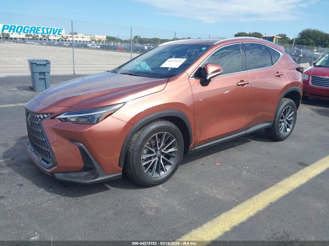 2026 Lexus Nx Nx 350 მანქანა იყიდება აუქციონზე, vin: 2T2AGCEZ2TC101135, აუქციონის ნომერი: 44375152