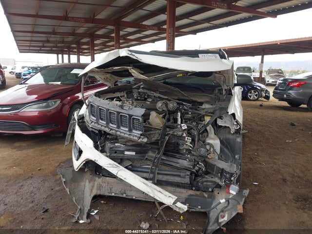 Jeep Compass Trailhawk 4x4 2019 3C4NJDDB6KT799889 Image 6