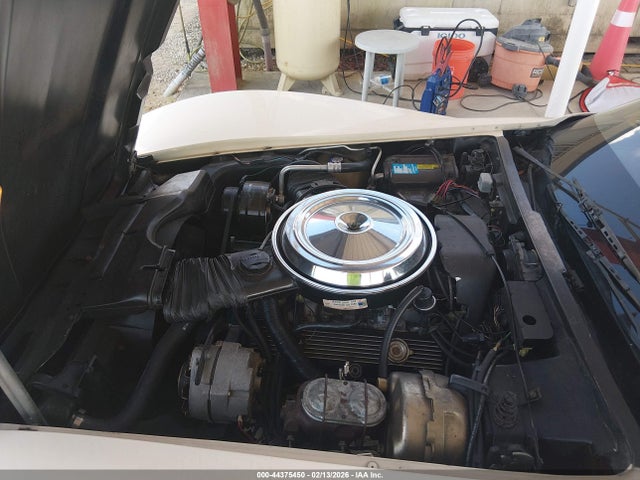 1981 CHEVROLET CORVETTE 1G1AY8760B5105318 Photo 9