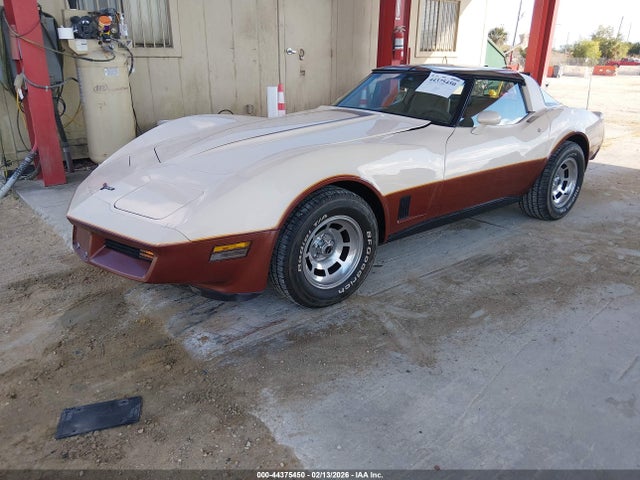 1981 CHEVROLET CORVETTE 1G1AY8760B5105318 Photo 1