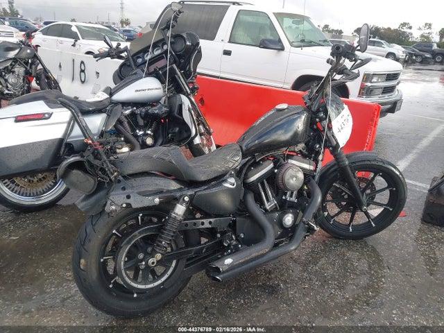 1HD4LE23XKC427070 Harley-Davidson Xl883 N