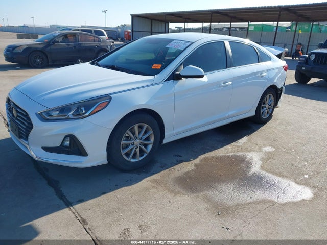 44377716 :رقم المزاد ، 5NPE24AF1KH743220 vin ، 2019 Hyundai Sonata Se مزاد بيع