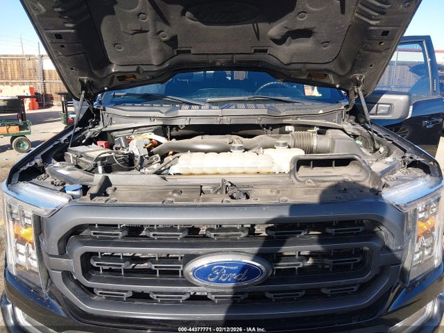 2023 Ford F-150 Xlt მანქანა იყიდება აუქციონზე, vin: 1FTFW1ED8PFB64629, აუქციონის ნომერი: 44377771