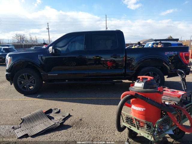 2023 Ford F-150 Xlt მანქანა იყიდება აუქციონზე, vin: 1FTFW1ED8PFB64629, აუქციონის ნომერი: 44377771