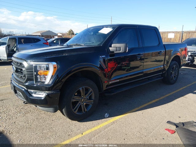 2023 Ford F-150 Xlt მანქანა იყიდება აუქციონზე, vin: 1FTFW1ED8PFB64629, აუქციონის ნომერი: 44377771
