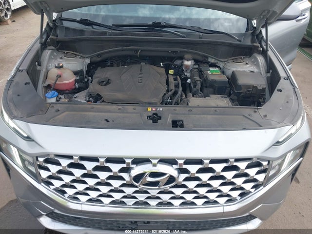 5NMS24AJ9MH306864 Hyundai Santa Fe Sel