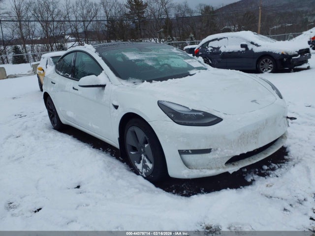 2023 TESLA MODEL 3 5YJ3E1EB1PF460018 Photo 0