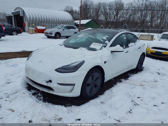 2023 TESLA MODEL 3 5YJ3E1EB1PF460018 Photo 1