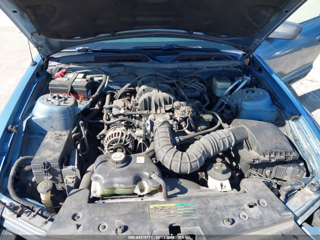 2006 FORD MUSTANG 1ZVHT80N865264192 Photo 9