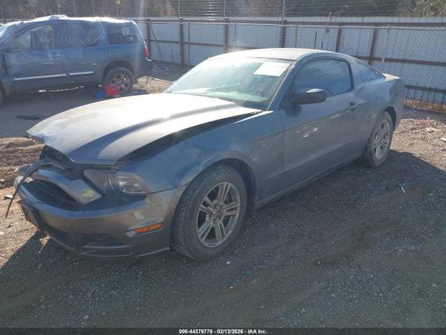 2013 FORD MUSTANG 1ZVBP8AM1D5264337 Photo 1