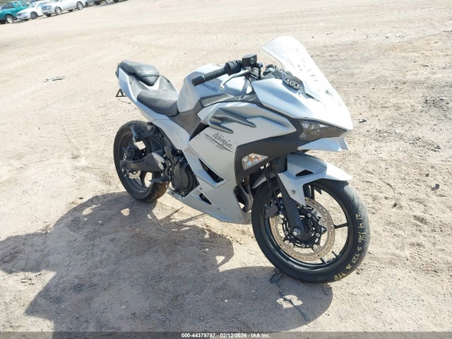 2024 KAWASAKI EX500 ML5EXGG10RDA26416