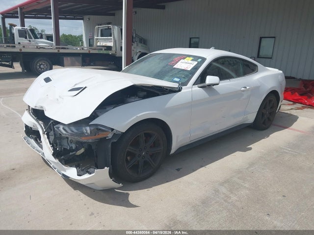 Ford Mustang Ecoboost Premium Fastback 2021 1FA6P8THXM5114057 Image 2