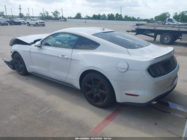 Ford Mustang Ecoboost Premium Fastback 2021 1FA6P8THXM5114057 Image 3