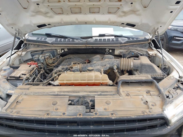 1FTEW1EB4KKD45043 Ford F-150 Xl