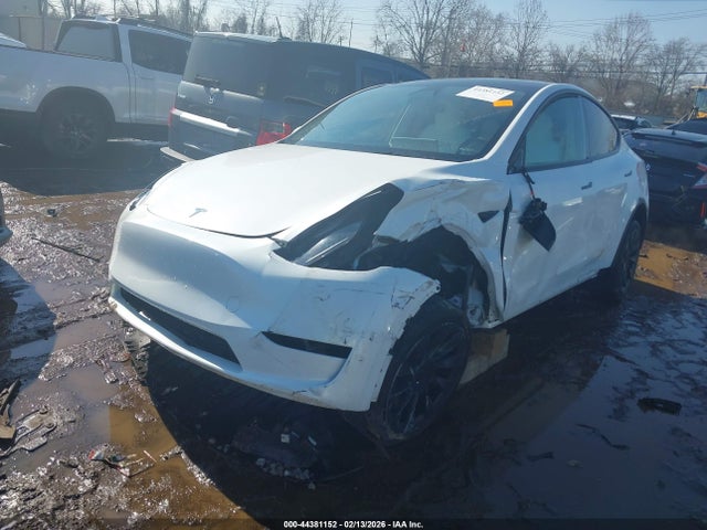 2024 TESLA MODEL Y 7SAYGDED3RF093468 Photo 1